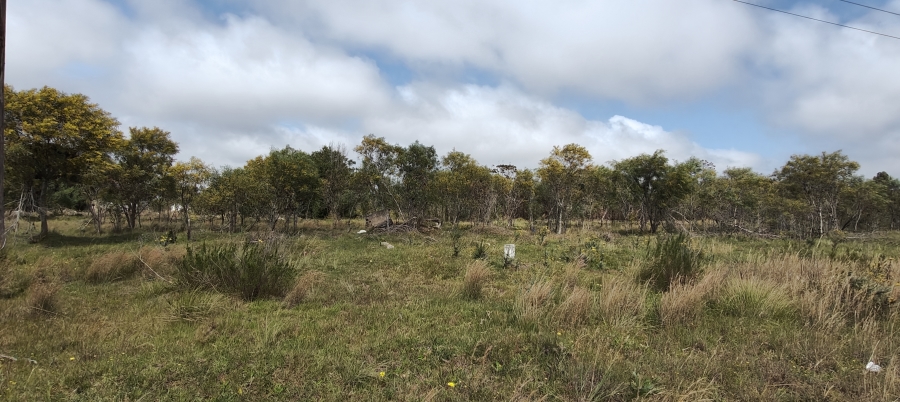 0 Bedroom Property for Sale in Greenbushes Eastern Cape